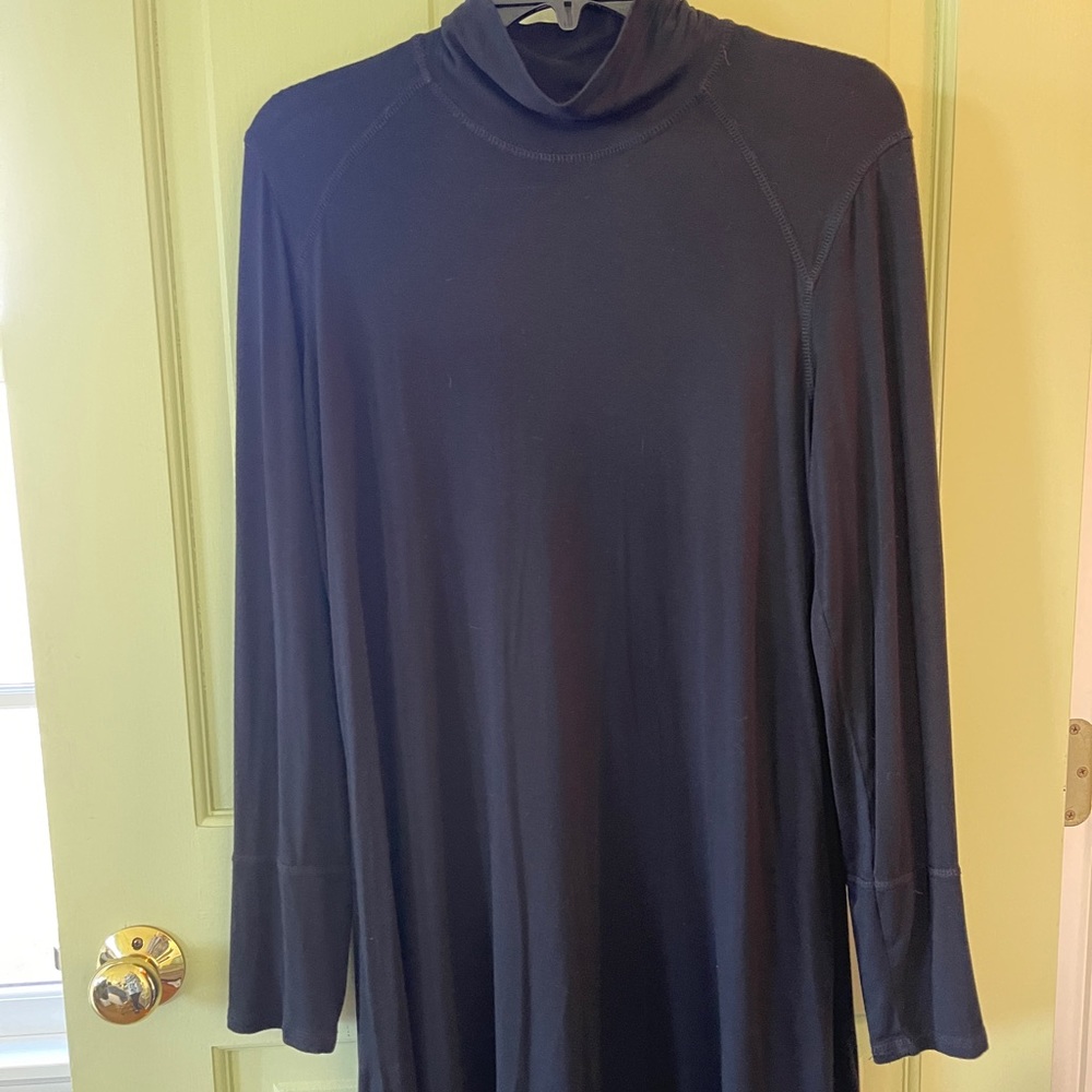 Long Sleeve Turtleneck Dress